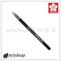 日本 SAKURA 櫻花 PIGMA PEN 禪繞畫 學習筆 黑 0.5mm #39269